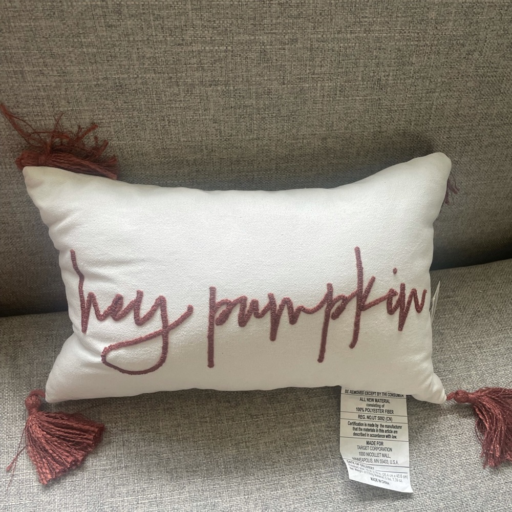 Target Bullseye Playground Hey Pumpkin Decorative Pillow